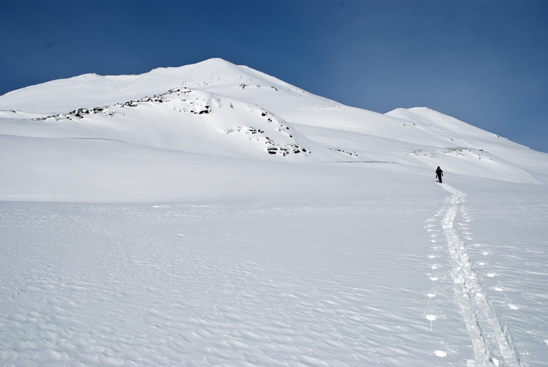 8 Hannu Kvalvikdalen.jpg - Kauas on pitkä matka - osa 90210. Photo: JussiM